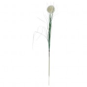 Gras-Ball Gras-Ball